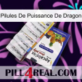 Dragon Power Pills 11